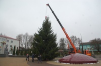 КРАСАВИЦА ЕЛЬ!